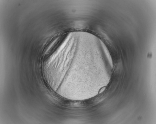 X0000091560365200709141540