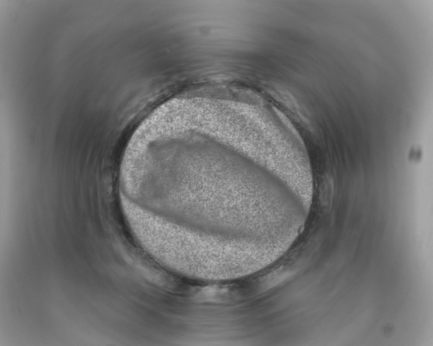 X0000091560366200709141540