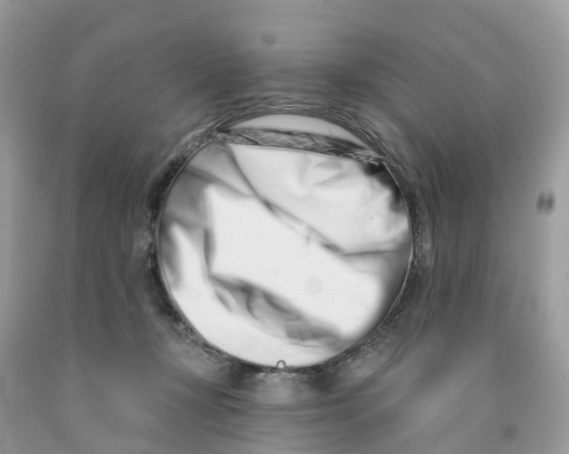 X0000091560367200709141540