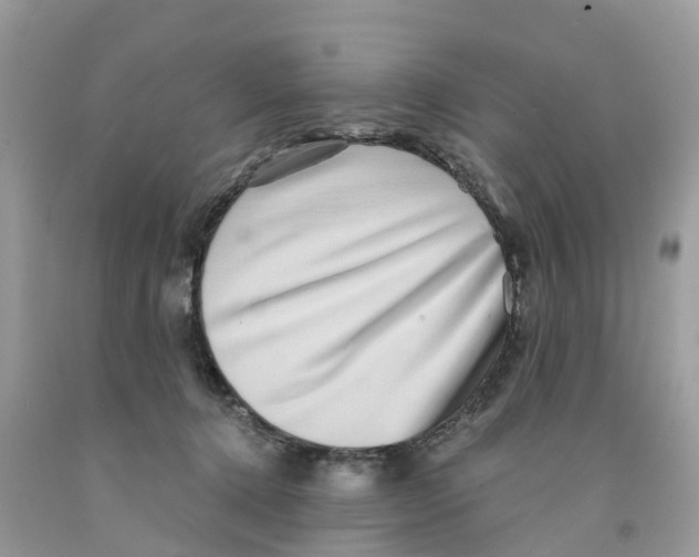 X0000091560368200709141540