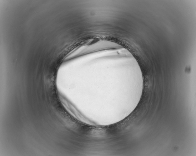 X0000091560369200709141540