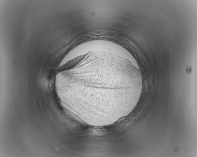 X0000091560372200709141540