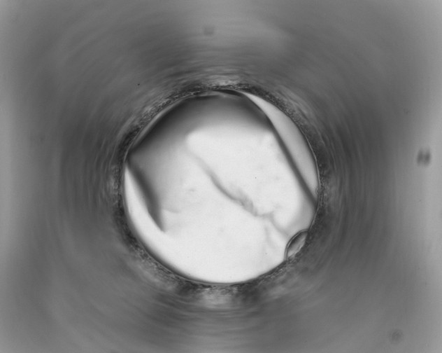 X0000091560373200709141541