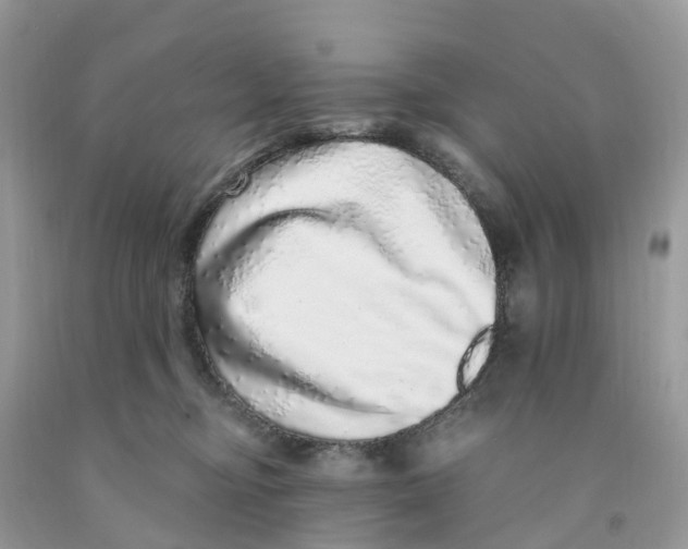 X0000091560374200709141541