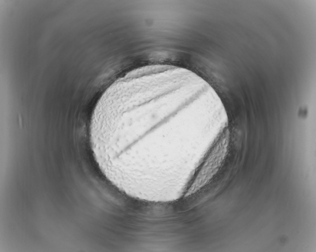 X0000091560375200709141541