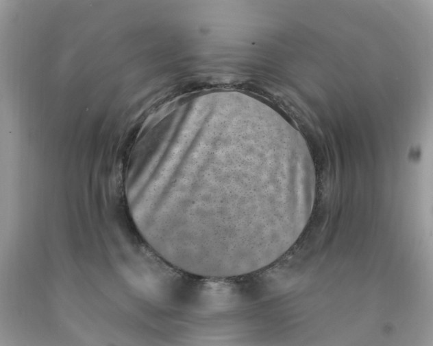 X0000091560376200709141541