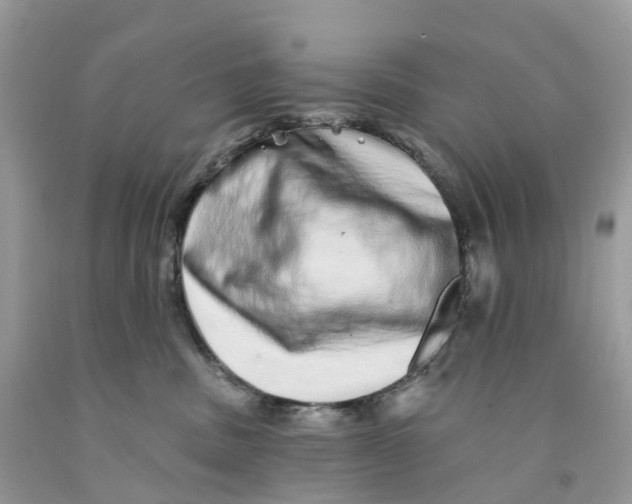 X0000091560379200709141541