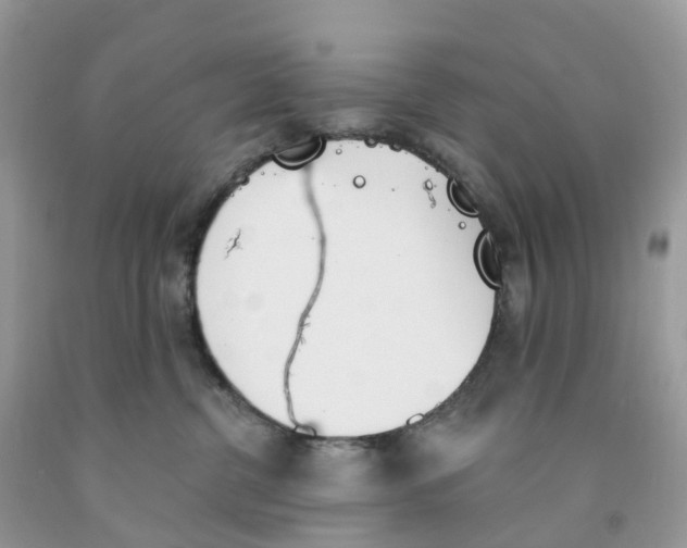 X0000091560380200709141541