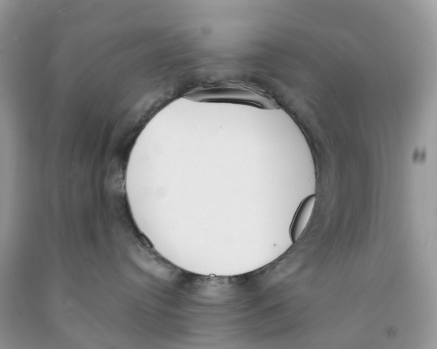 X0000091560384200709141541