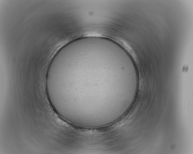 X0000091560385200709141540