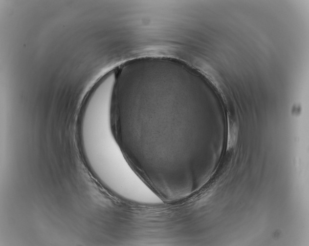 X0000091560387200709141540