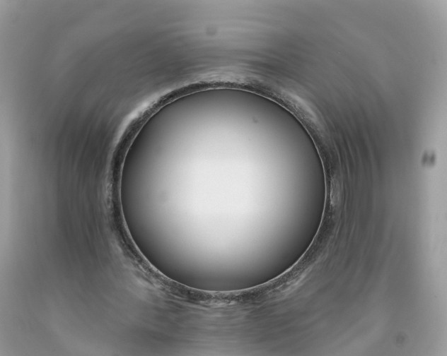 X0000091560388200709141540