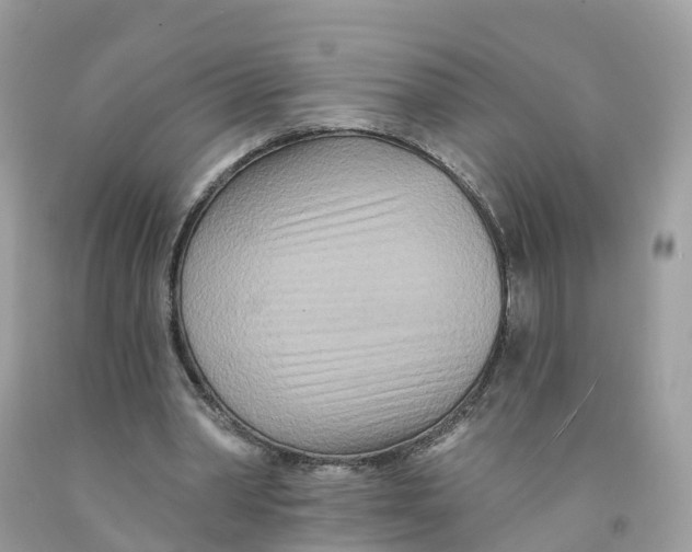 X0000091560390200709141540