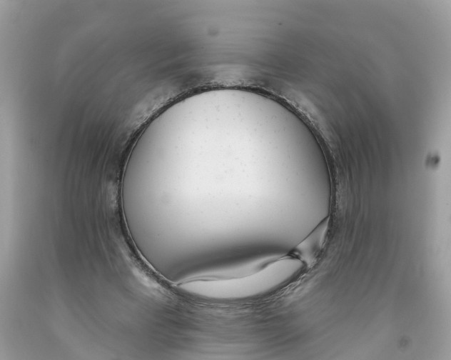 X0000091560393200709141540