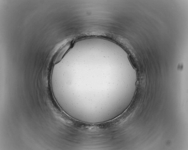 X0000091560395200709141540