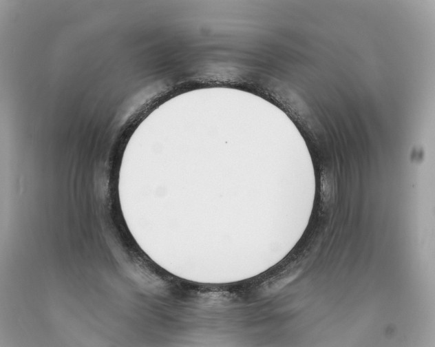 X0000091560396200709141540