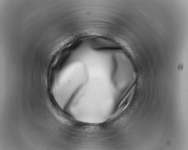 X0000091560398200709141540