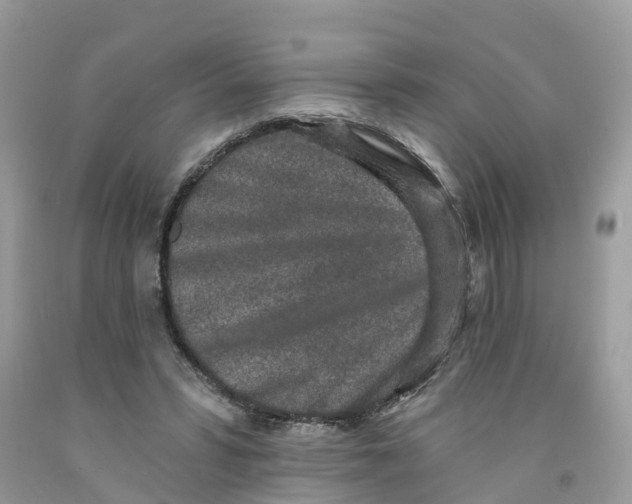 X0000091560399200709141540