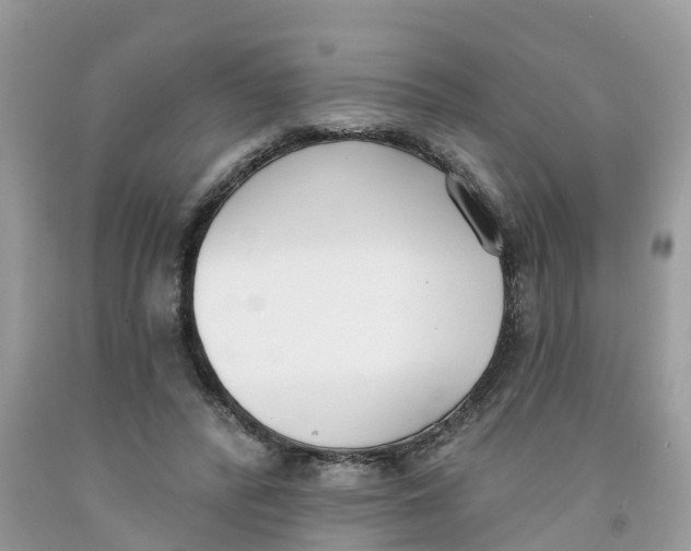 X0000091560400200709141540