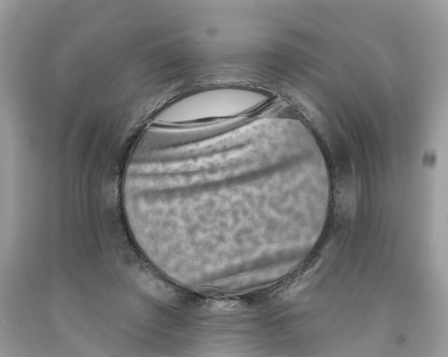 X0000091560401200709141540