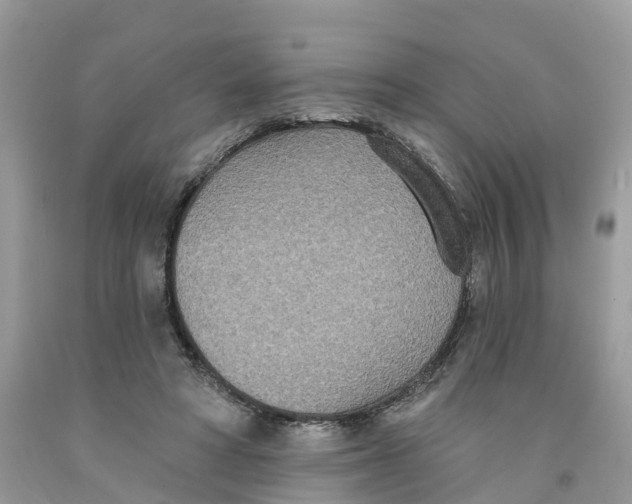 X0000091560402200709141540