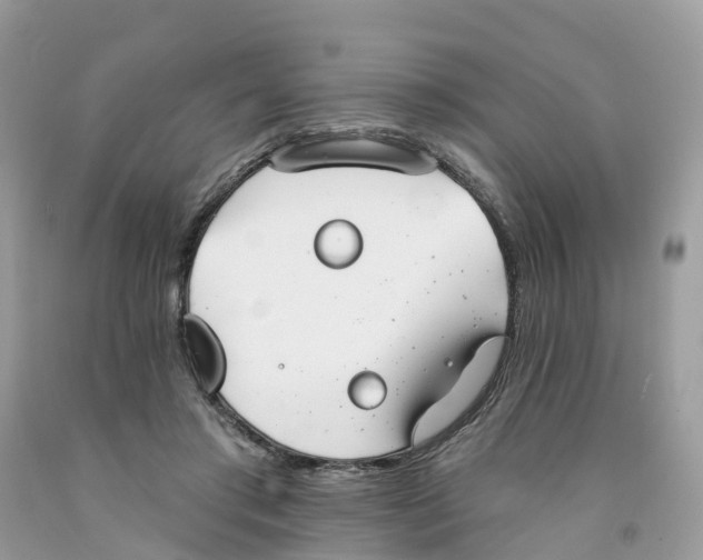 X0000091560405200709141540