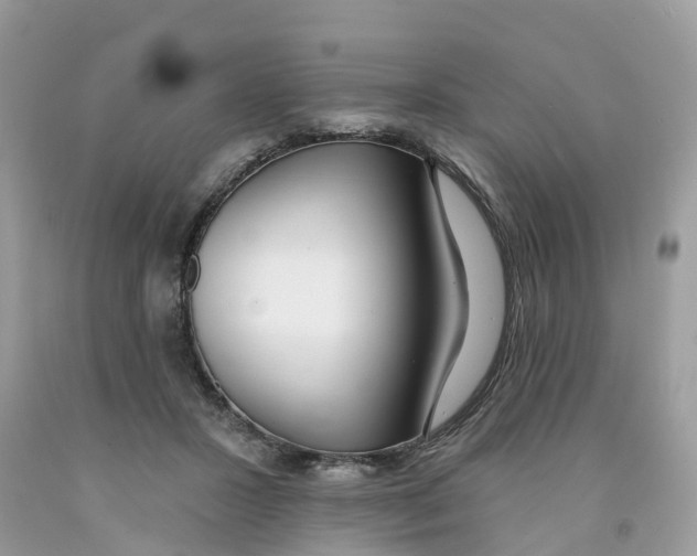 X0000091560407200709141540