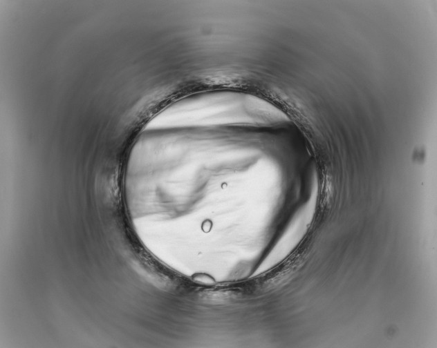 X0000091560408200709141540