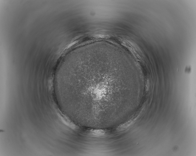 X0000091560409200709141540