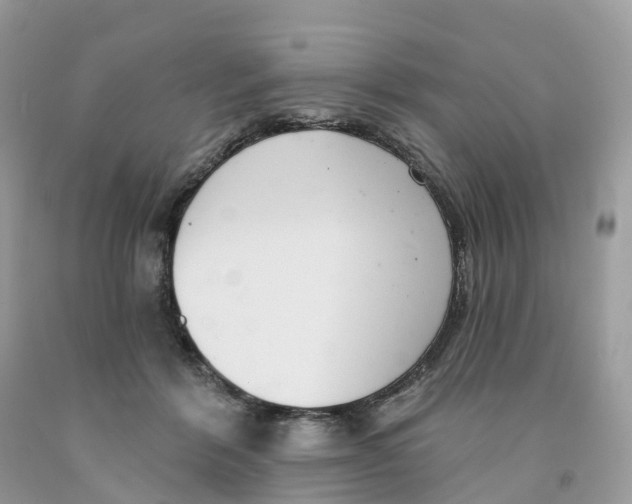 X0000091560412200709141540