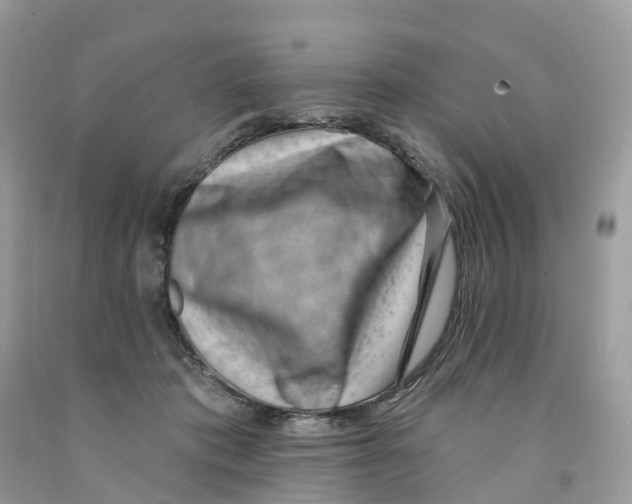 X0000091560413200709141540