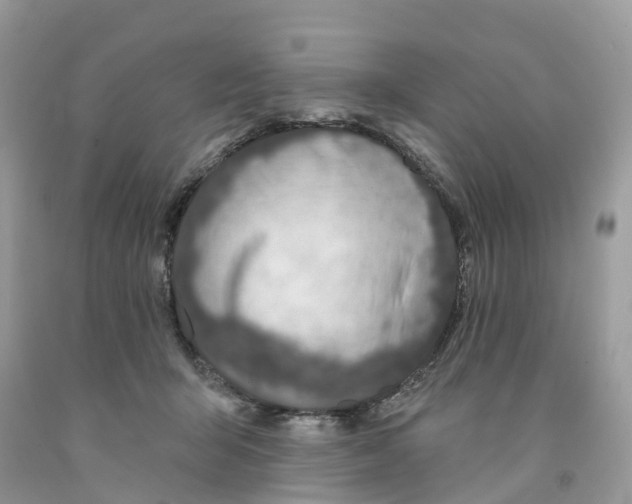 X0000091560415200709141540