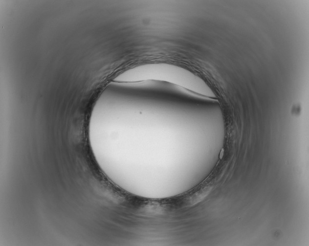 X0000091560416200709141540