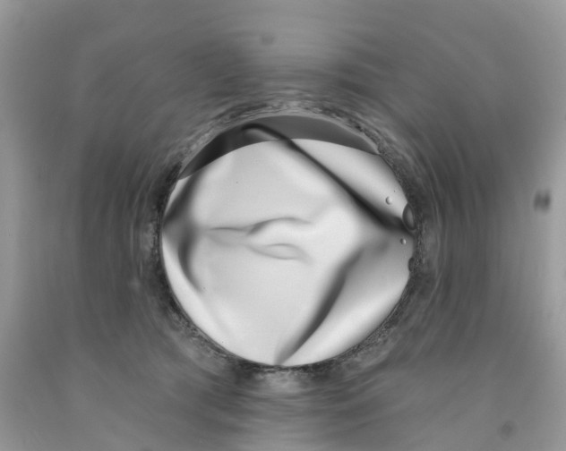 X0000091560417200709141540