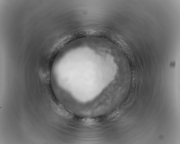 X0000091560419200709141540