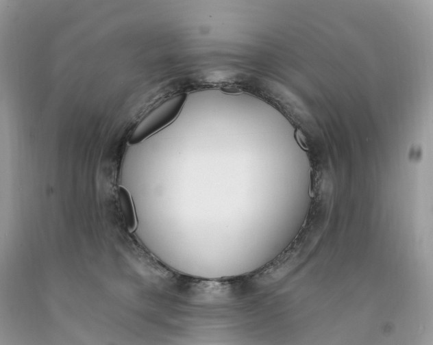 X0000091560421200709141540