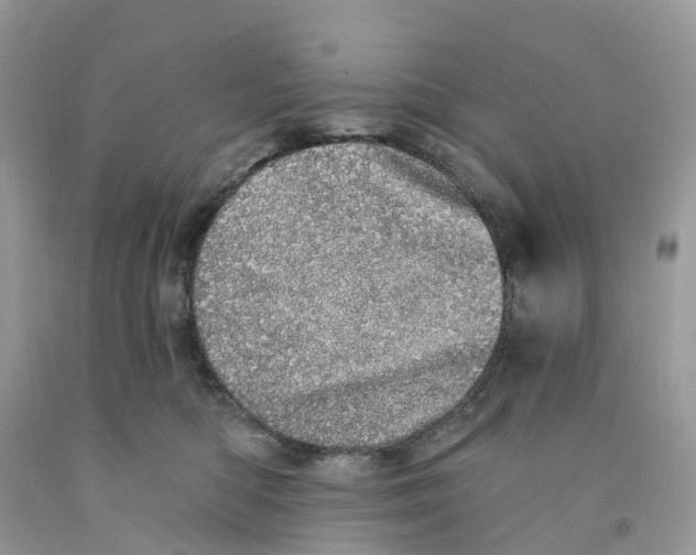 X0000091560422200709141540