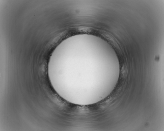 X0000091560424200709141540