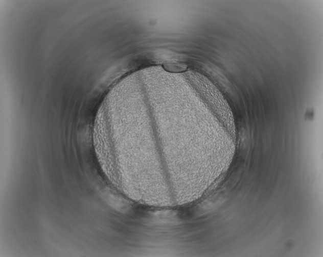 X0000091560426200709141540