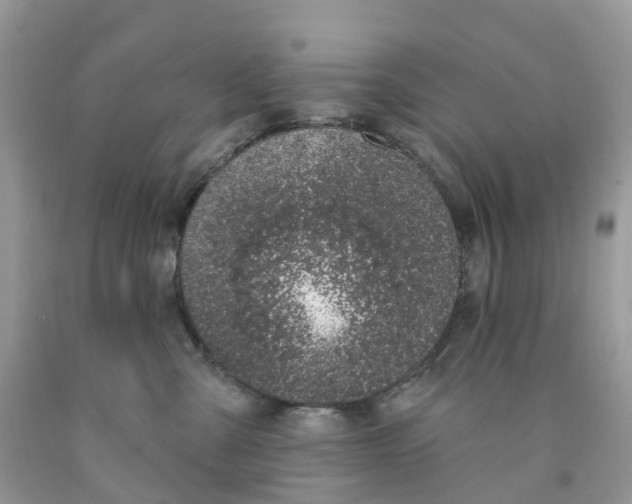 X0000091560427200709141540