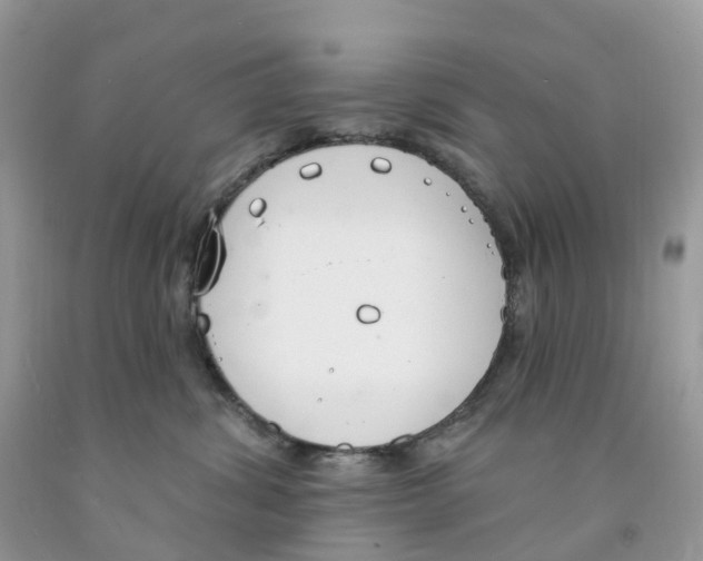 X0000091560428200709141540