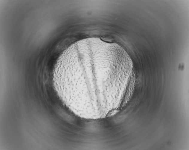 X0000091560430200709141539