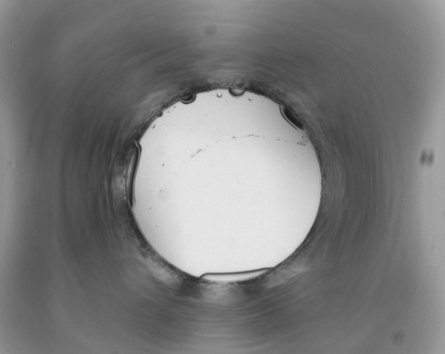 X0000091560432200709141539