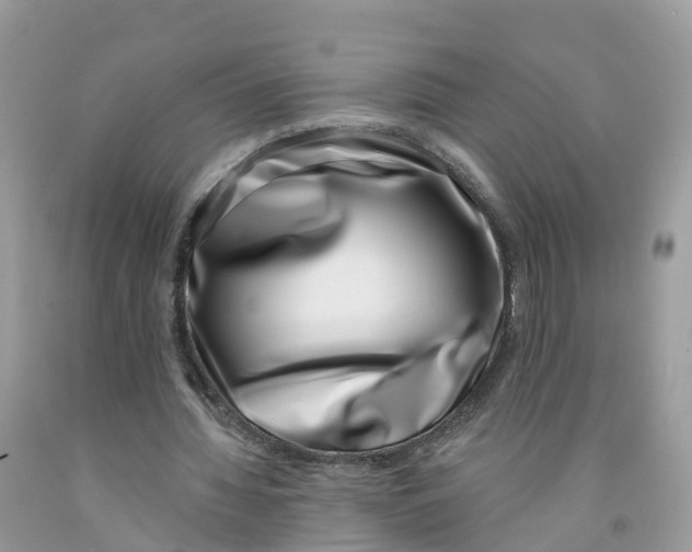 X0000091560436200709141539