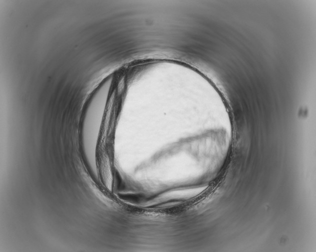 X0000091560437200709141539