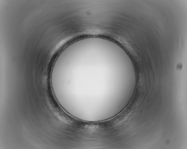 X0000091560440200709141539