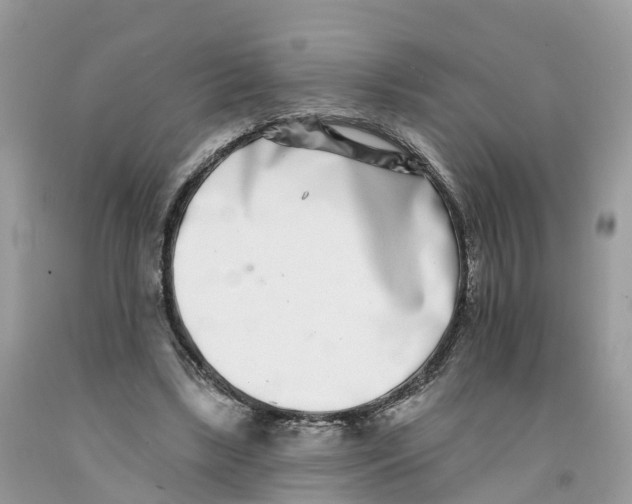 X0000091560443200709141539