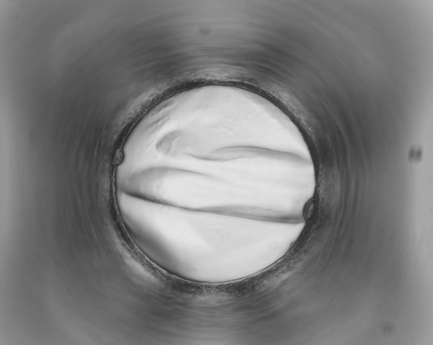 X0000091560445200709141539