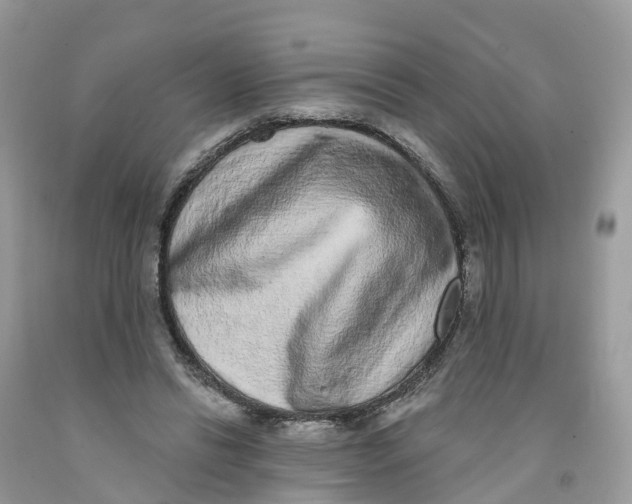 X0000091560446200709141539