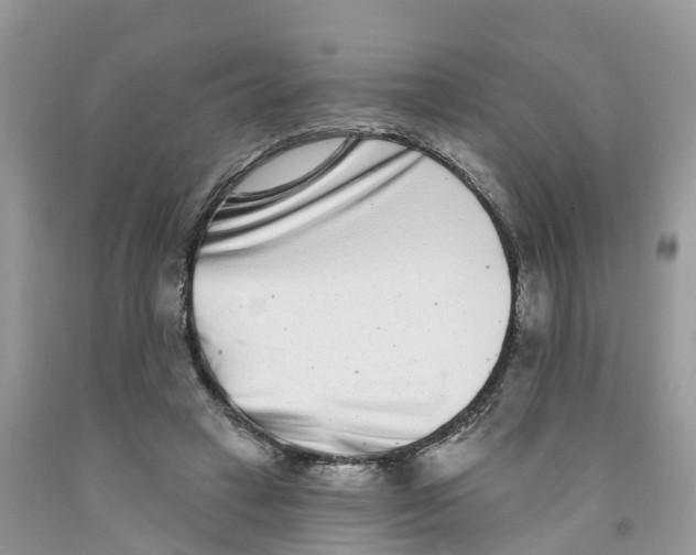 X0000091560449200709141539